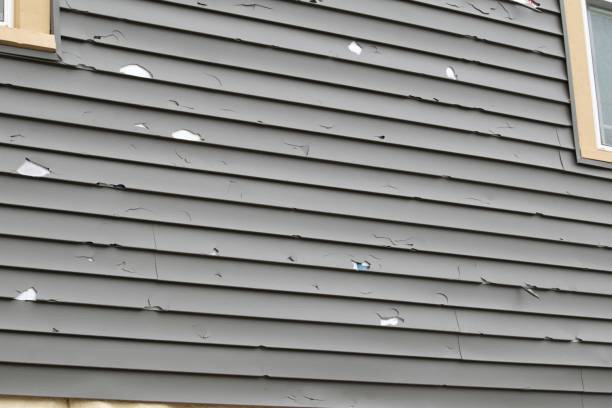 Best Fiber Cement Siding Installation  in Elma, WA